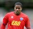 Bradley Bubb