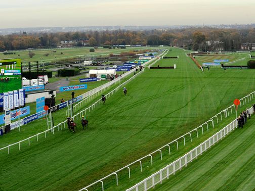 Sandown: Could see Bold Sir Brian in action