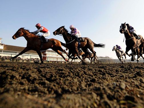 Taajub: Could return on Winter Derby day