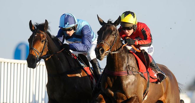 Duke Of Lucca: Can reward each-way support in the Racing Plus Chase