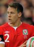 http://e1.365dm.com/12/02/68x93/chrisgunterwales_2725504.jpg?20120228115413