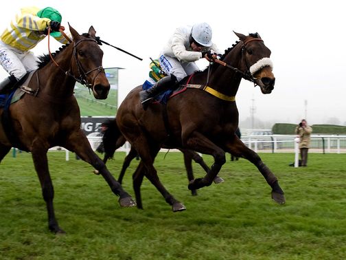 Cape Tribulation: Heading to Sky Bet Chase