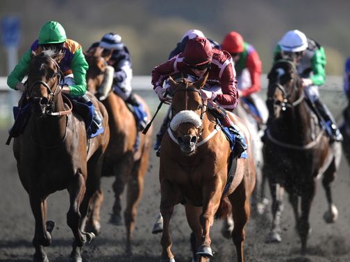 Lingfield stages an eight-race card