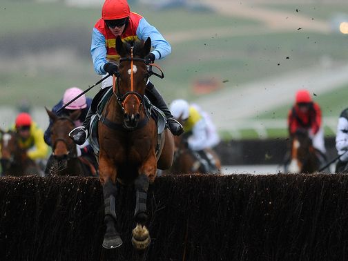 Hunt Ball: Helps establish a key trend at Cheltenham