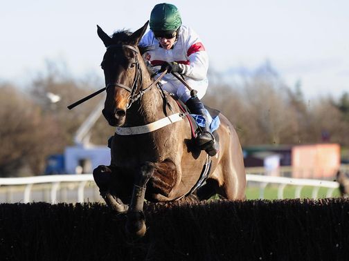 Posh Bird: A big price to win a second North Yorkshire Grand National
