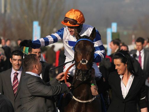 Son Of Flicka: Don't rule out another big run at Cheltenham