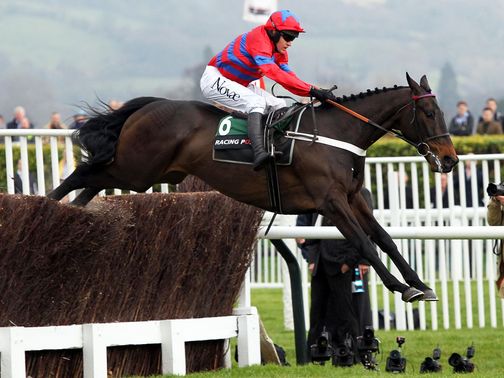 Sprinter Sacre produces another flawless leap on his way to success