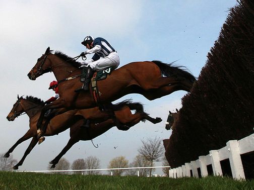 Teaforthree is fancied to win at Haydock