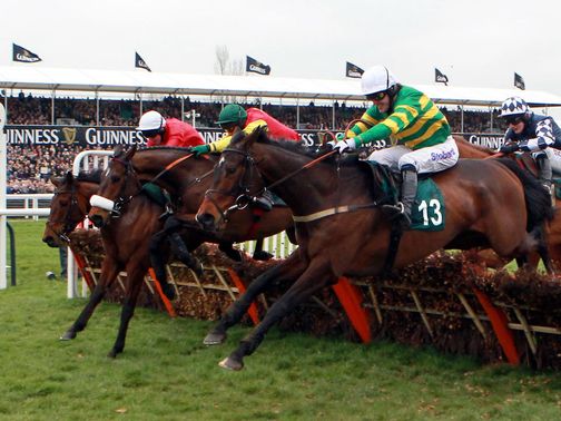 Alderwood: Grand Annual likely Cheltenham target