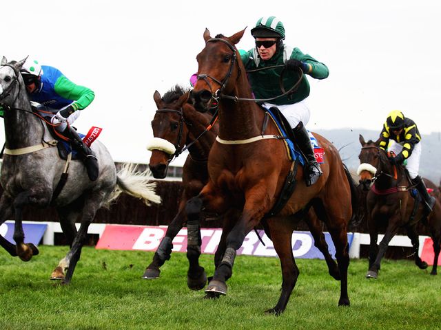 Salsify: Set for Down Royal appearance