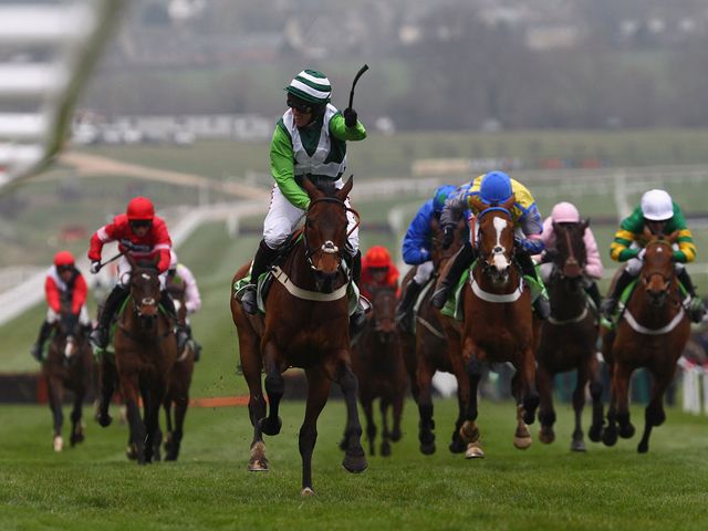 Noel Fehily celebrates on Rock On Ruby