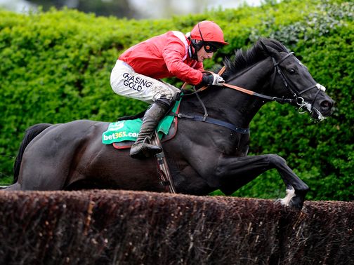 Sanctuaire: Looking to bounce back to winning ways