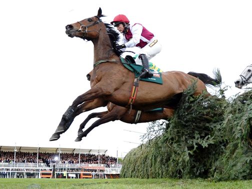 Seabass: Set for a return to Aintree
