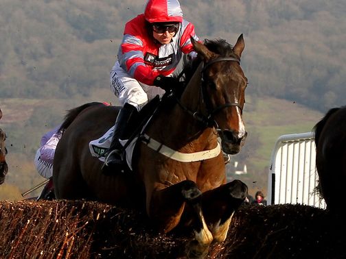 Tartak: Cheltenham hopeful