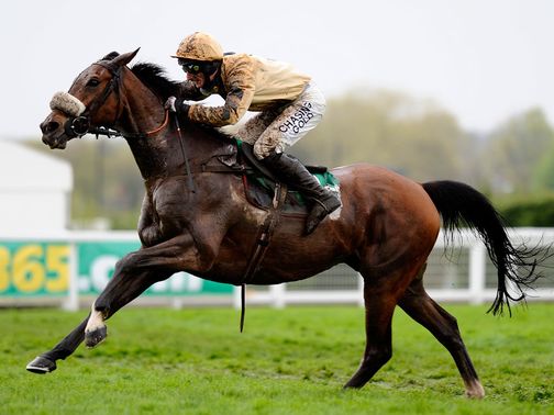 Tidal Bay: Heads the weights for the Hennessy Gold Cup