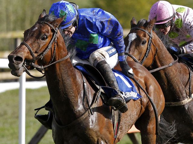 Hurricane Fly: Morgiana Hurdle favourite