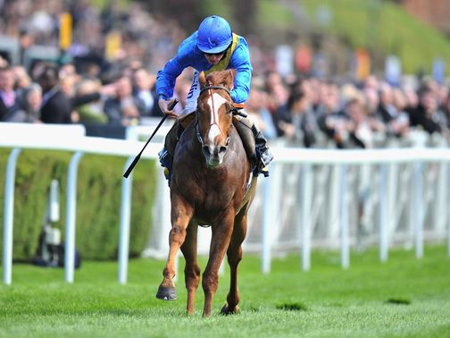 Ballesteros: Fully primed for his return to action at Bath on Saturday
