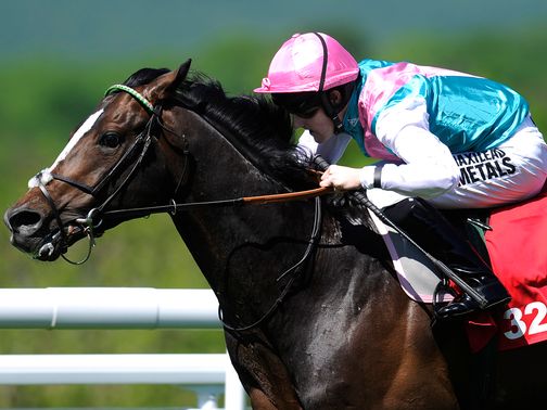 Jet Away: Looks the best bet in the York feature