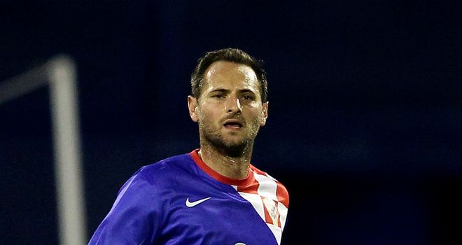 Gordon Schildenfeld: Attracting interest from several English clubs