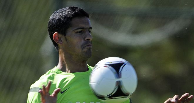 Ricardo Costa: Portugal have made it safely through to the semi-finals of Euro 2012