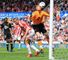 Controversial goal: Jon Walters put Stoke ahead after appearing to knock the ball out of Adam Bogdan's hands