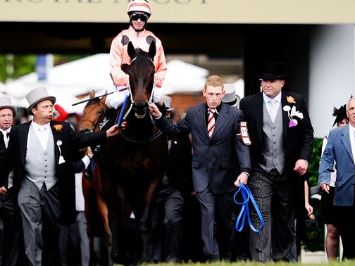 Black Caviar: Trainer had Ascot doubt