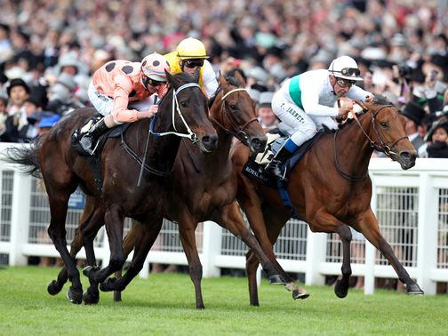 Black Caviar: Continuing her preparations