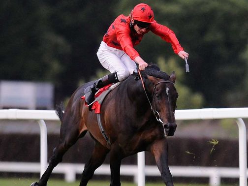 Poet: Our man's fancy for the Tolworth Hurdle