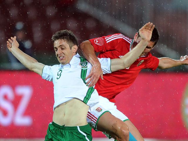 Kevin Doyle and Adam Szalai battle for the ball