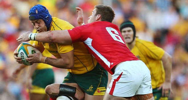 Wales flanker Dan Lydiate attempts to stop Nathan Sharpe