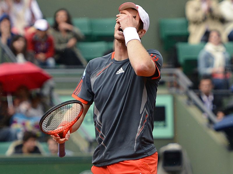 At the French Open, his run of semi-finals is ended by David Ferrer in the quarters.