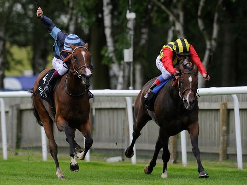 Elusive Kate: Confirmed her superiority over Golden Lilac
