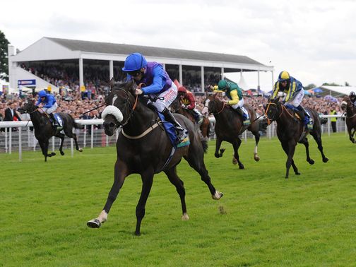 King's Warrior is a clear-cut winner of the John Smith's Cup