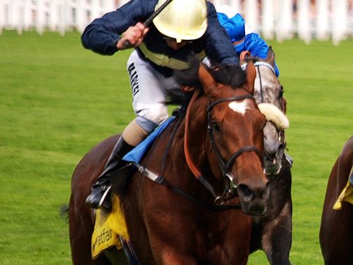 Nathaniel: Joins Danedream as an Arc absentee