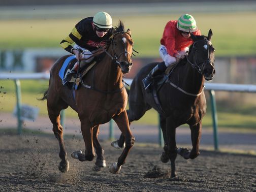 Viking Storm: Can claim victory at Kempton