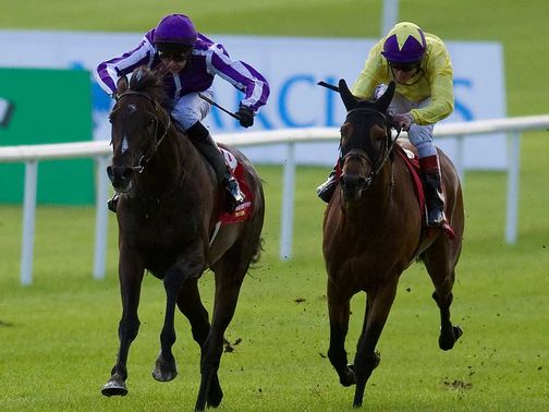 Camelot: Sparkled during a racecourse gallop