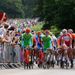 Richmond Park came early on the route as massive crowds roared on the riders