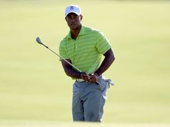 Tiger Woods