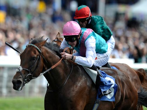 Dundonnell: Heading to California for Breeders' Cup