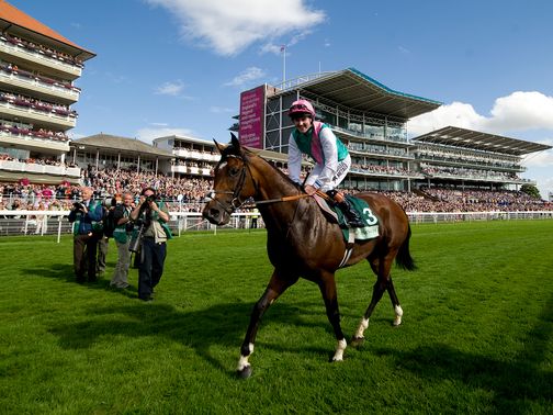 Frankel: A game of numbers