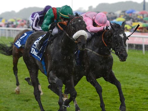 Shareta (left) cut to a best of 14/1 for the Arc