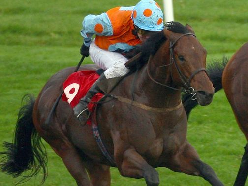 Singeur: Worth a bet at 12/1