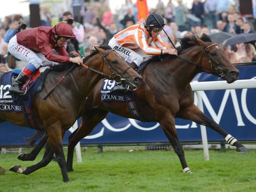 Ortensia (r): Can claim another Group 1 success