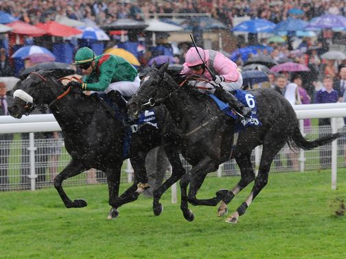 The Fugue: Stays in training as a four year old