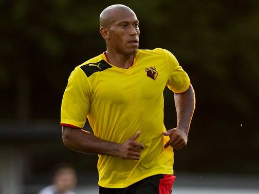 Chris Iwelumo: Expects to leave Watford next month