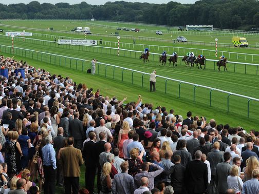 A bumper Haydock crowd watches Ladys First battle to victory