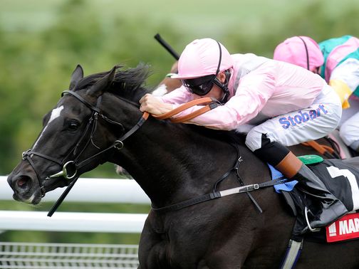 The Fugue: Back later this season