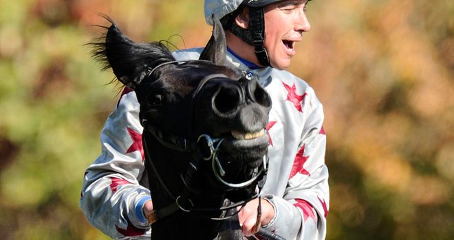 Dabirsim: Stud career ahead for star juvenile