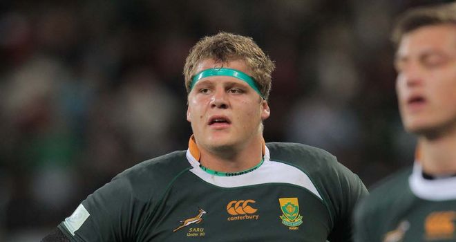 Paul Willemse: Will make the move to the Bulls