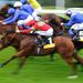 Olympic Glory was an apt winner of the Vintage Stakes